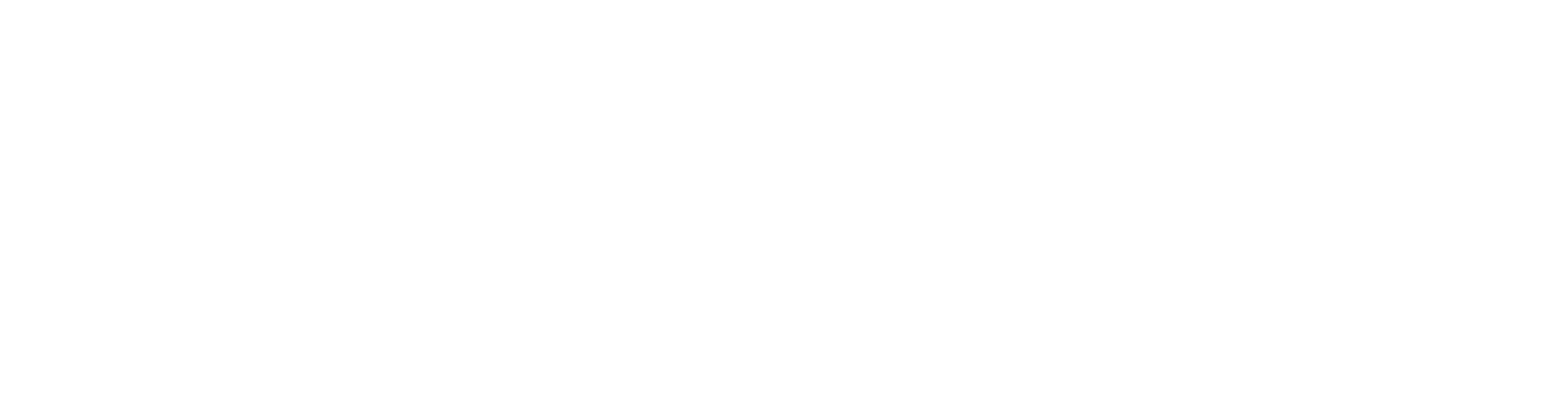NOQSE